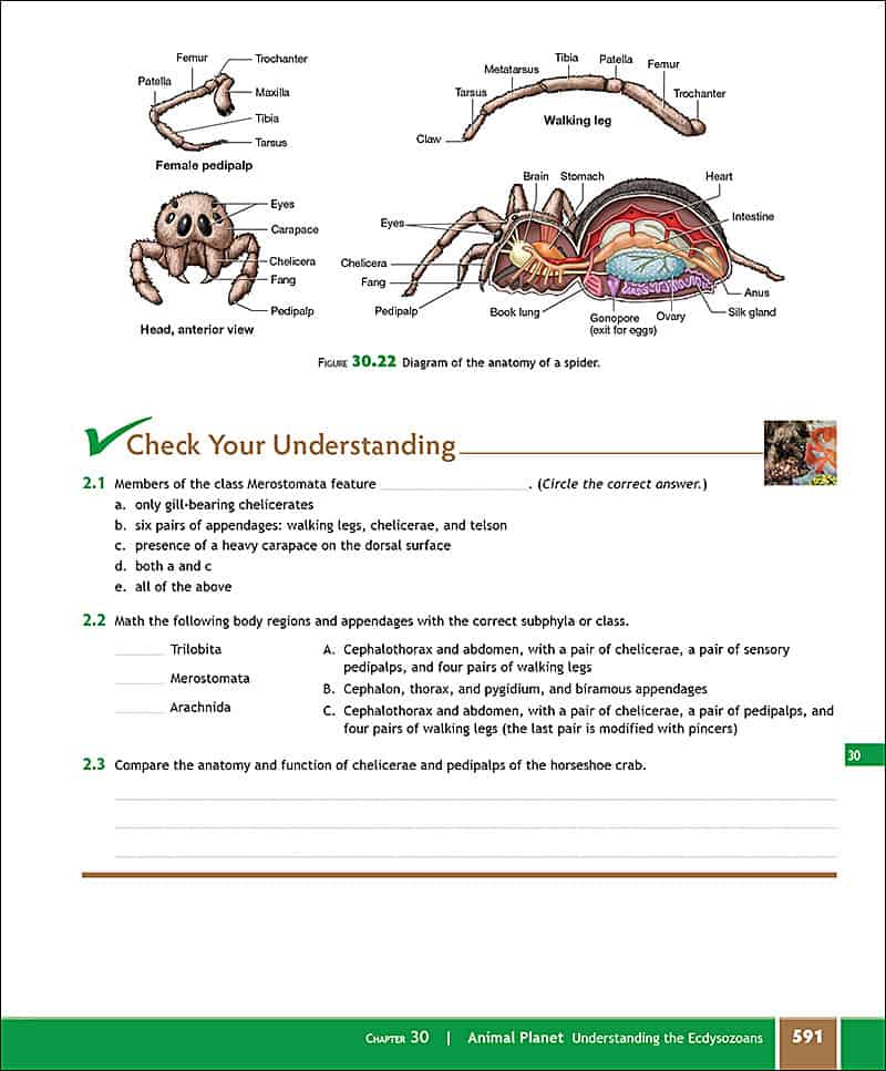 Exploring Biology in the Laboratory, 3e - Morton Publishing